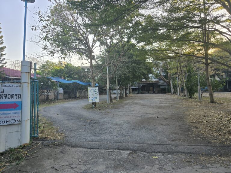 20241221_073217-junjira-dheerachaikulpanich-2
